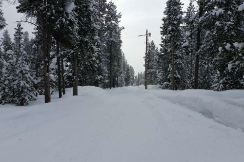 6 Miles From Park Entrance -moose