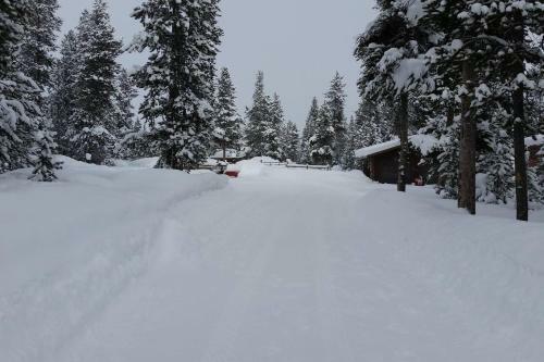 6 Miles From Park Entrance -moose