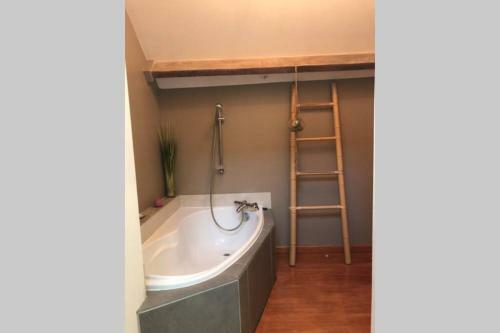 Pau Villa 250m2 Piscine Et Jacuzzy.
