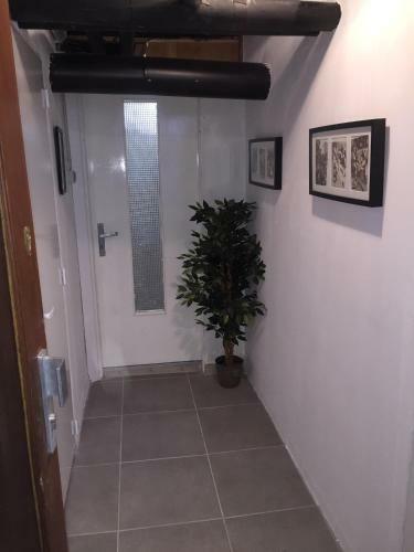 Apartamento R�sidence "au Charron De Geis'pitz"