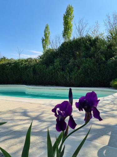 Bb Paradis Ren�e