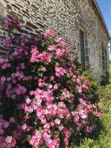 Bed & Breakfast La Corbonniere