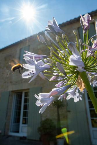 G�te Entre Bordeaux Et Saint-emilion