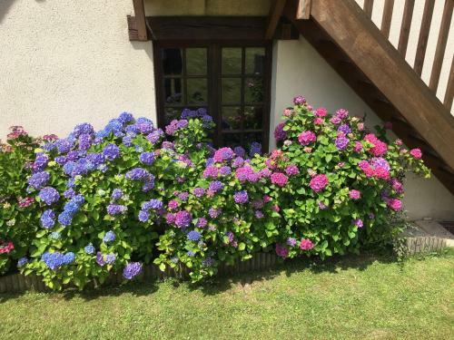 Maison Et Appartement � Honfleur