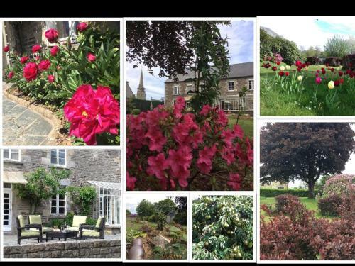 Bed & Breakfast Le Potier Jovial