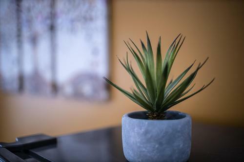 Apartamento Escape Time - Paris