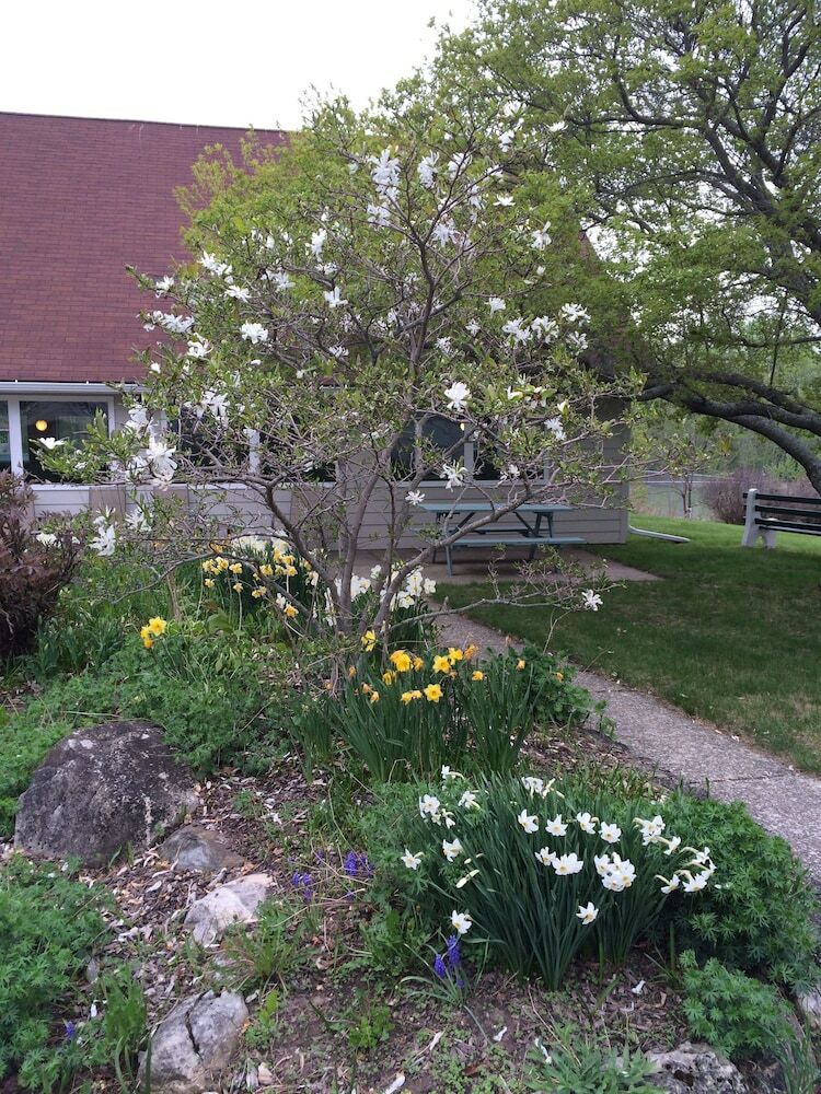 Hotel Parkwood Lodge
