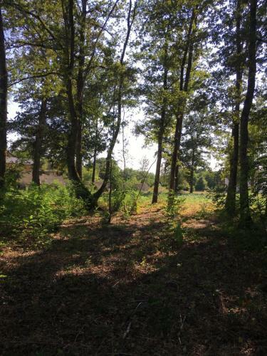 Le Pigeonnier Rte de Gievres Selles Sur Cher