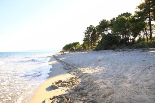 Studio Apartment For 23 People 150 M From The Sea From 39 Day