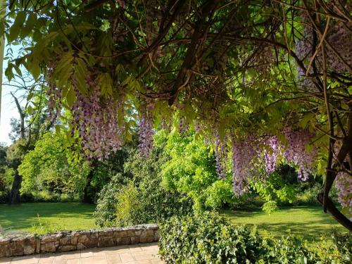 Hostal L'enclos Du Vieux Ch�ne
