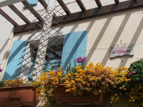 Bed & Breakfast L'orchid�e