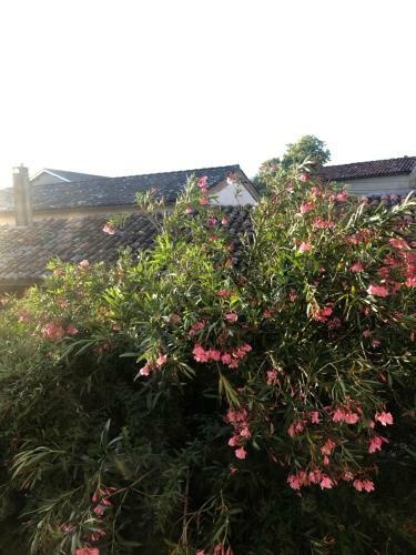B&B Du Couvent, Vue Ch�teau