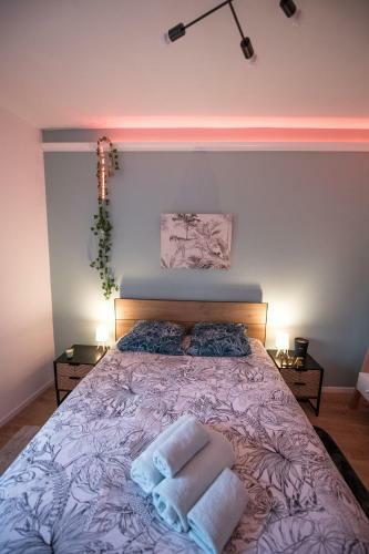 Apartamento Jungle Room �vadez Vous Cosy Luxe Gare Autoroute