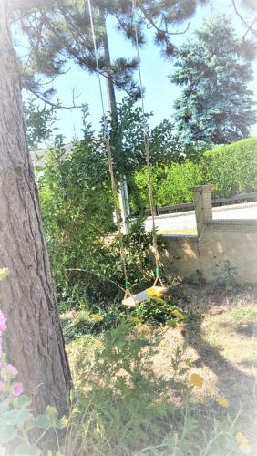 Chambre En Rez De Jardin