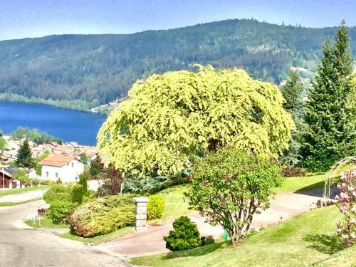 Chalet Le Flocon Bleu - Mauselaine Avec Vue Sur Le Lac de G�rardmer