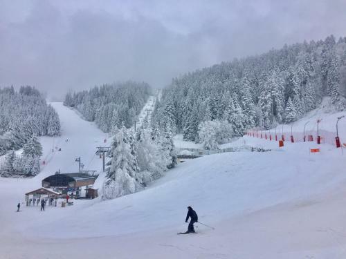 Chalet Le Flocon Bleu - Mauselaine Avec Vue Sur Le Lac de G�rardmer