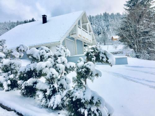 Chalet Le Flocon Bleu - Mauselaine Avec Vue Sur Le Lac de G�rardmer