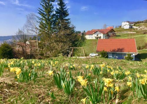 Chalet Le Flocon Bleu - Mauselaine Avec Vue Sur Le Lac de G�rardmer