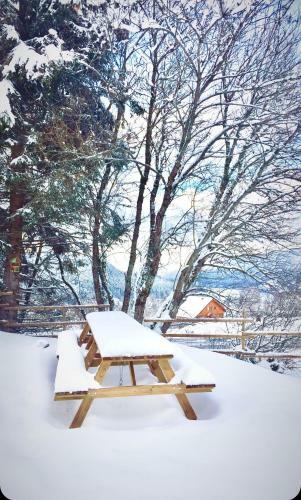 Chalet Le Flocon Bleu - Mauselaine Avec Vue Sur Le Lac de G�rardmer