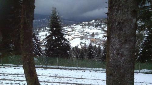 Apartamento Village Vosgien