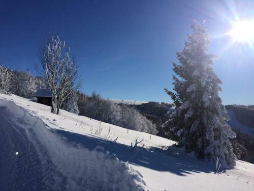Apartamento Les Prairies Du Lac