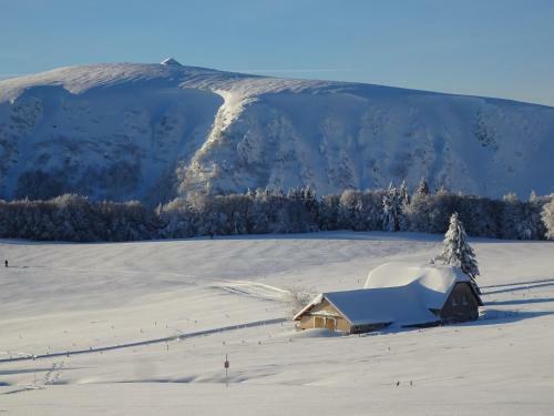 Chalet La Petite Perle