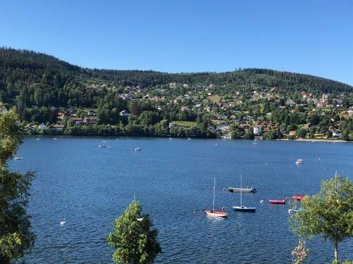 Apartamento Gerardmer : Residence "l'eau Vive"