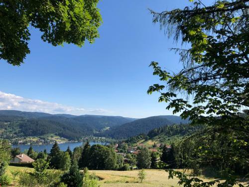 Apartamento Gerardmer : Residence "l'eau Vive"