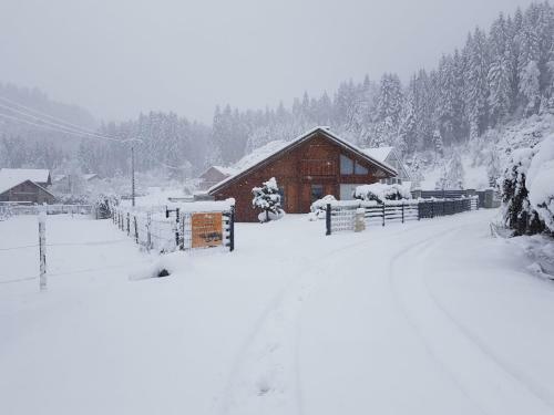 Chalet 'le Grand Pr�' G�rardmer