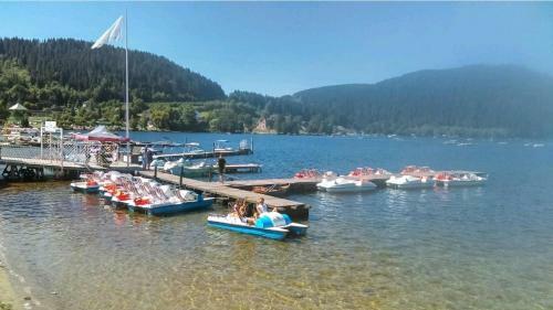 Apartamento La Perle Au Bord De La Rivi�re