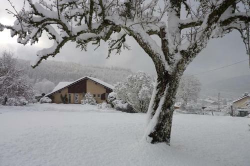 Apartamento Entre Lac Et Pistes