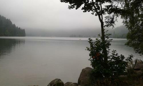 Apartamento Studio Hauteur Gerardmer
