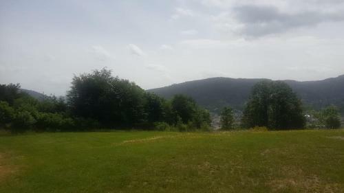 Apartamento Location Studio Gerardmer 4 Personnes Vue Montagne