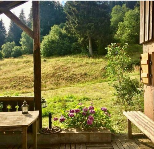 Maison De Standing Sauna Luxe Gerardmer