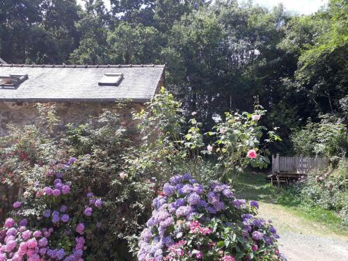 Bed & Breakfast Le Vieux Moulin