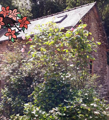Bed & Breakfast Le Vieux Moulin