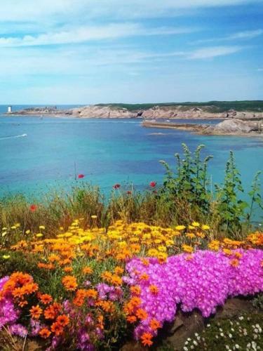 Bed & Breakfast Le Vieux Moulin
