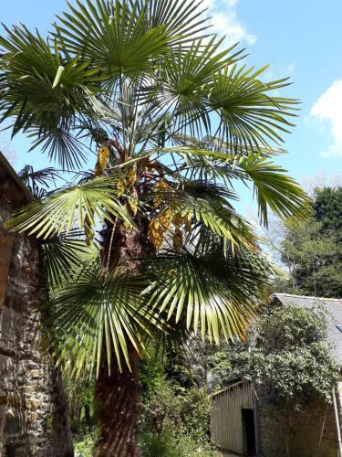 Bed & Breakfast Le Vieux Moulin