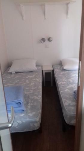 Camping 46 Rainettes