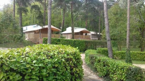 Camping 46 Rainettes