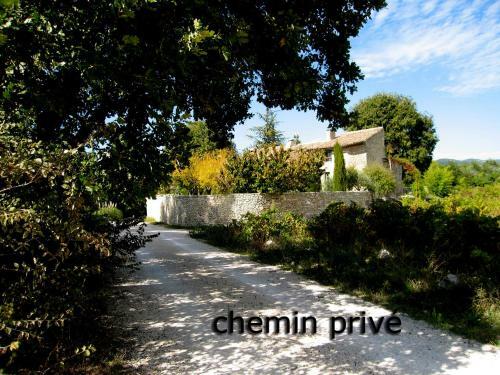 Chene-vert