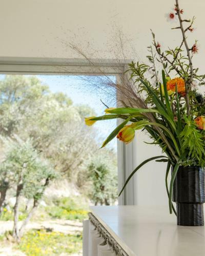 Bed & Breakfast Les Milles Roches