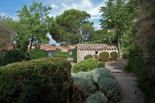 Cypr�s Du Paradis � Gordes