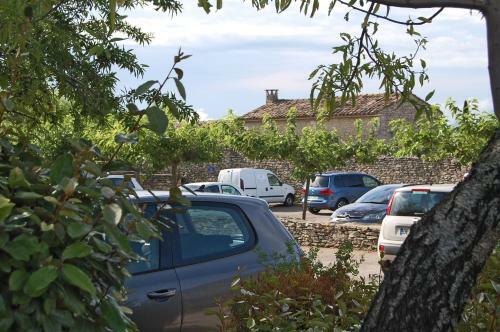 Cypr�s Du Paradis � Gordes