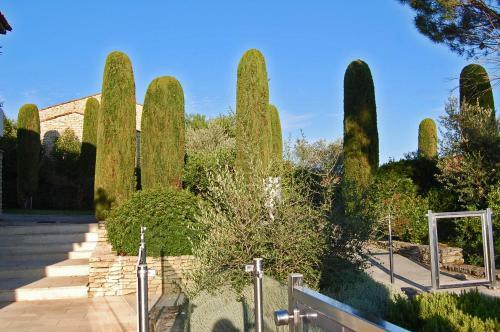Cypr�s Du Paradis � Gordes