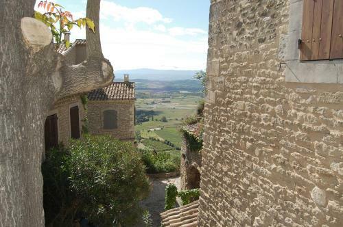 Cypr�s Du Paradis � Gordes