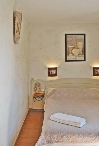 Cypr�s Du Paradis � Gordes