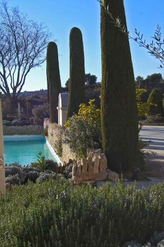 Cypr�s Du Paradis � Gordes