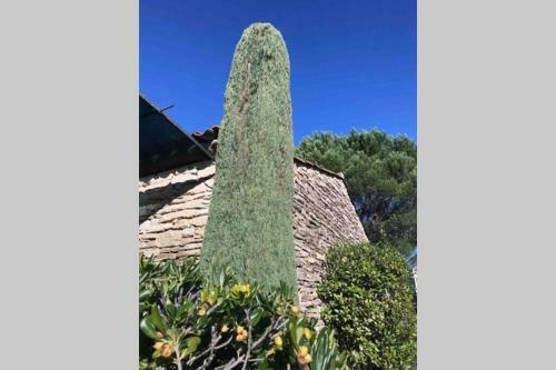 Le Bastidon De L Olivier