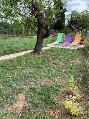 L'ol�astre En Luberon
